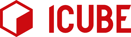 ICUBE SA Logo